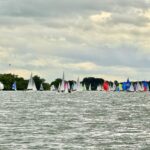Viele Boote segeln mit weißen, roten, blauen und gelben Segeln auf dem Rhein. Am Ufer sind Bäume zu sehen. Der Himmel ist wolkig.