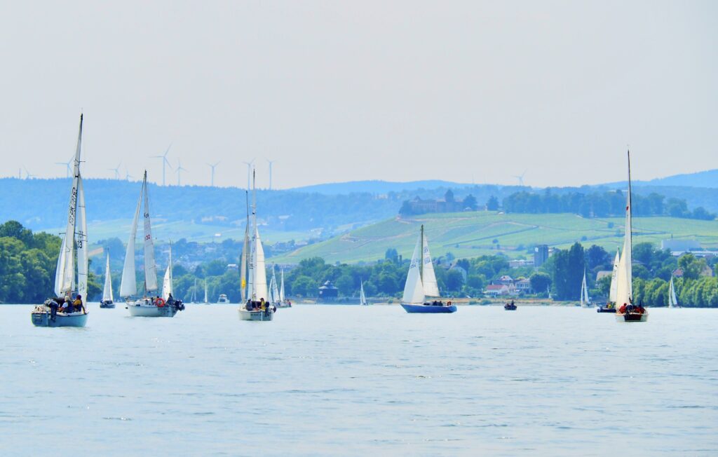 Viele Segelboote sind gemeinsam unterwegs vor der bergigen Weinlandschaft im Rheingau.