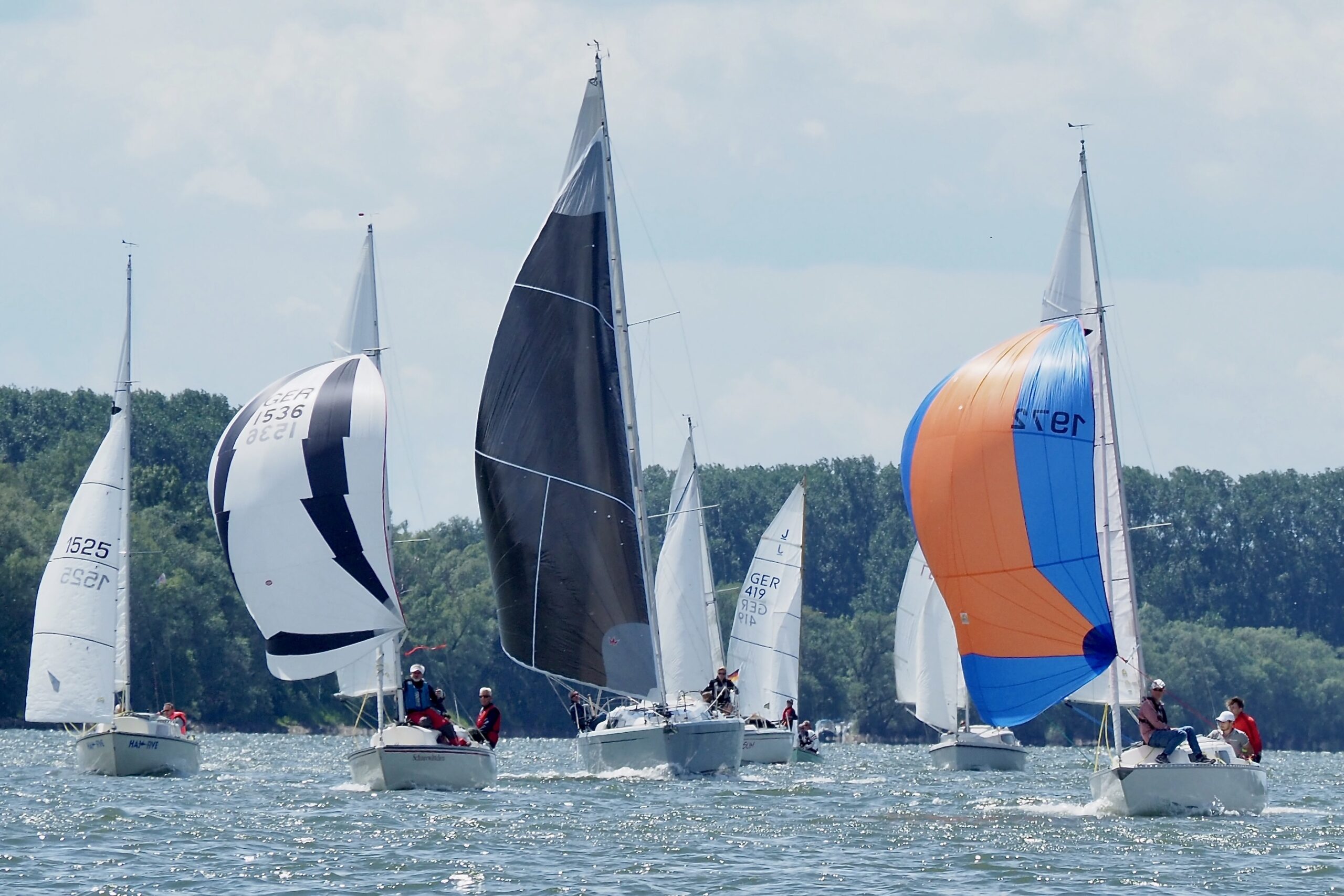 Bei glitzerndem Sonnenlicht segeln Boote eine Wettfahrt auf dem Rhein. Einige haben große bunte Segel, so genannte Spinnaker, hochgezogen.