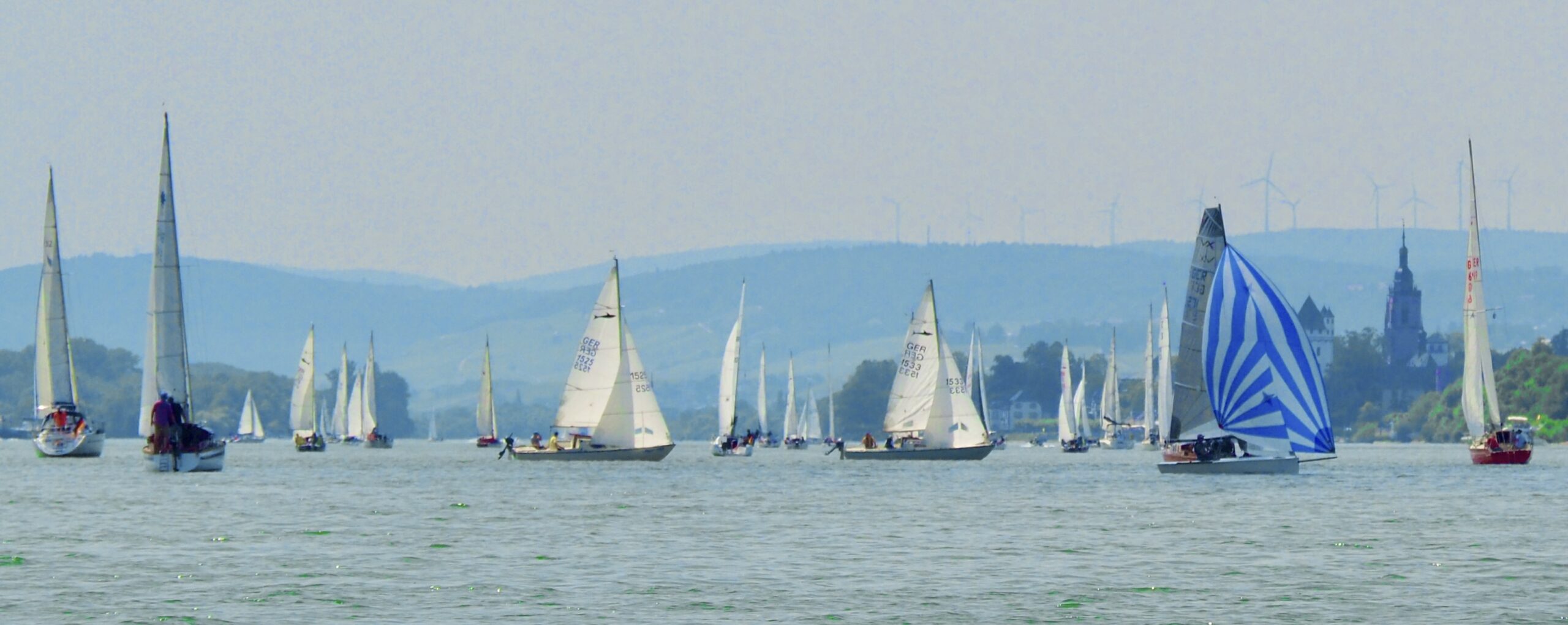Viele verschiedene Yachten unter Segeln auf dem Rhein