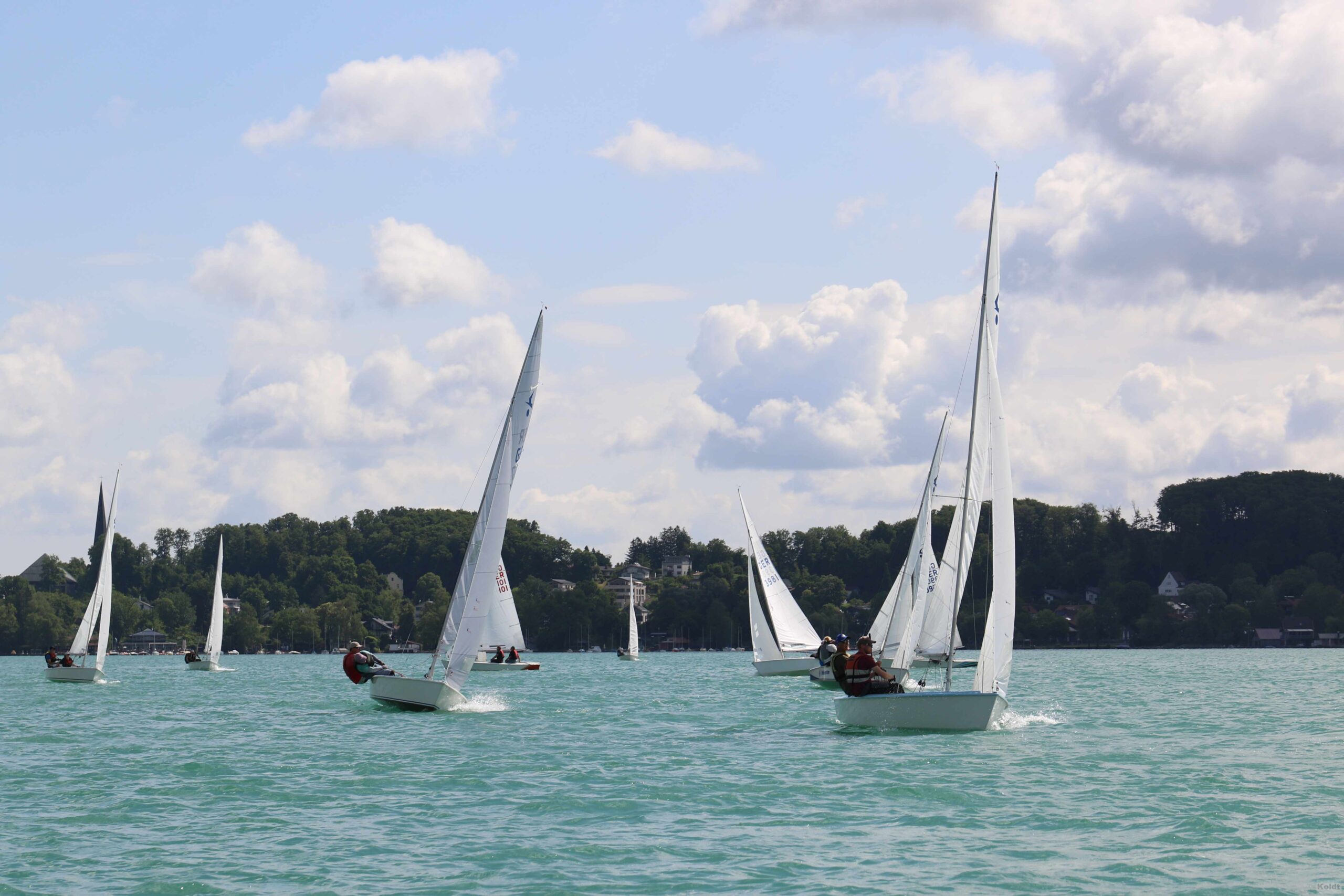 Jollen mit weißen Segeln auf einem grünblauen See