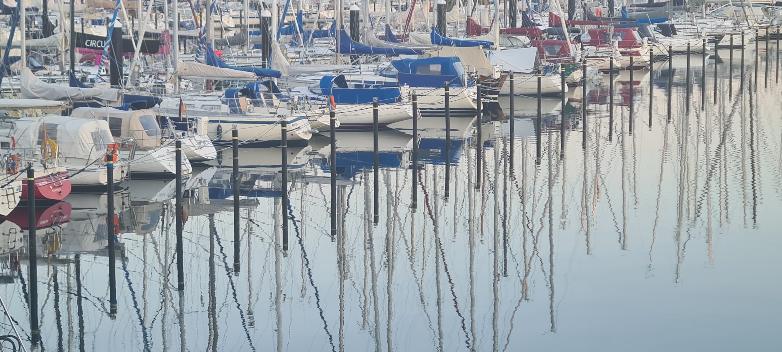 Viele Yachten, die Masten spiegeln sich im Wasser.