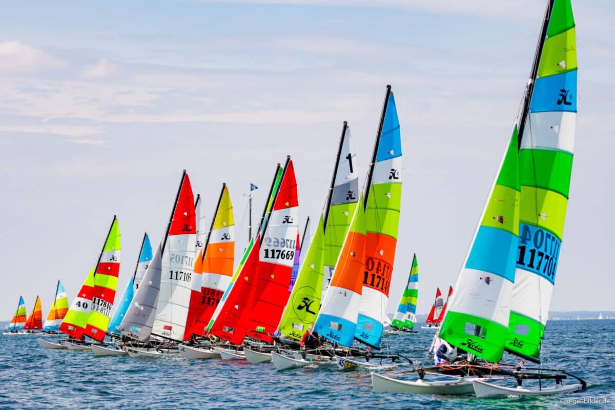 Katamarane vom Typ Hobie 16 mit bunten Segeln.
