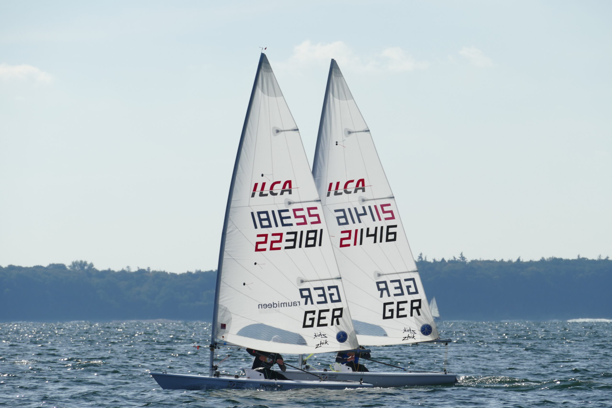 Zwei ILCA Jollen, auch als Laser bekannt, segeln nebeneinander am Wind, die Segler sind verdeckt, man kann die Segelnummern sehr gut erkennen.