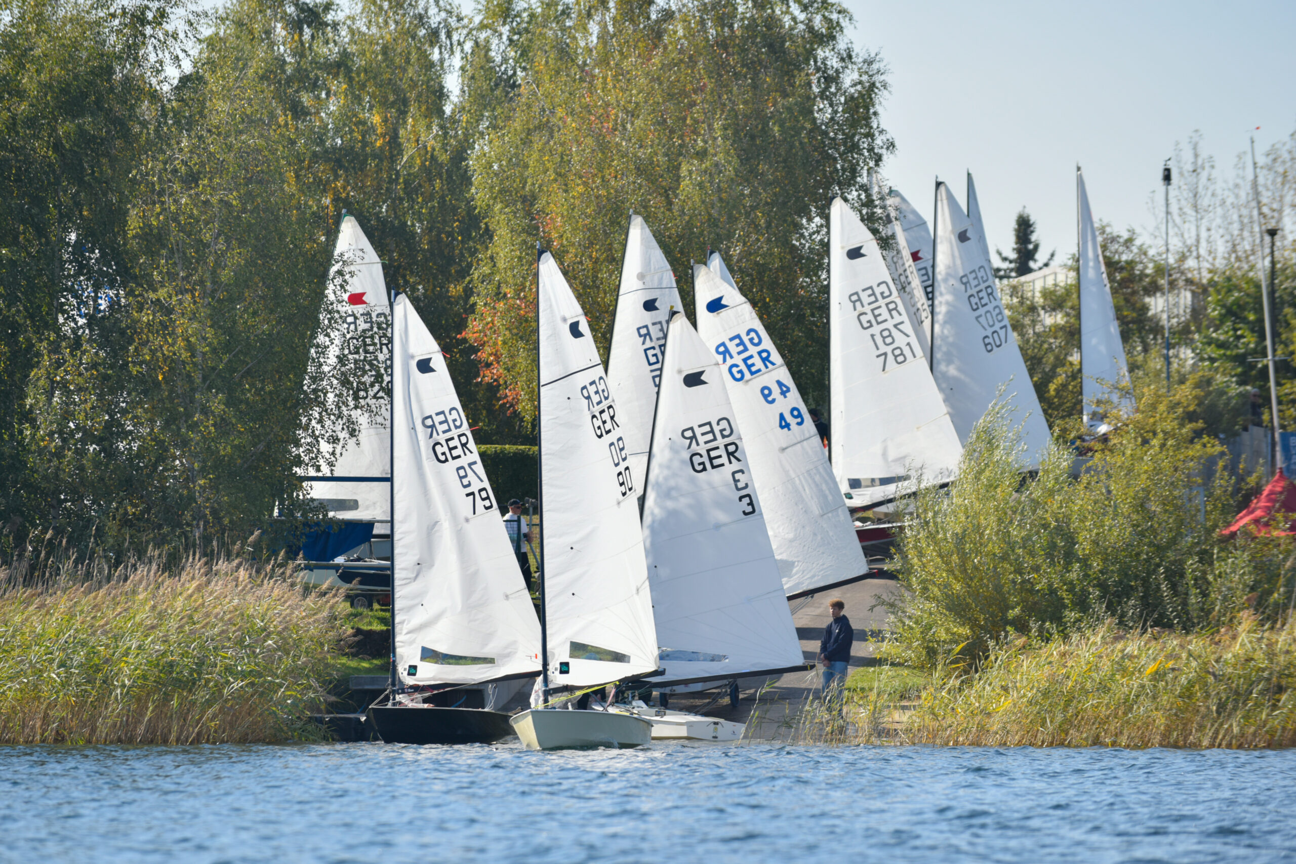 Jollen mit weißen Segeln und einer Nummer darin werden auf einer Rampe zu Wasser gelassen, rechts und links daneben wächst hohes Gras und Schilf.