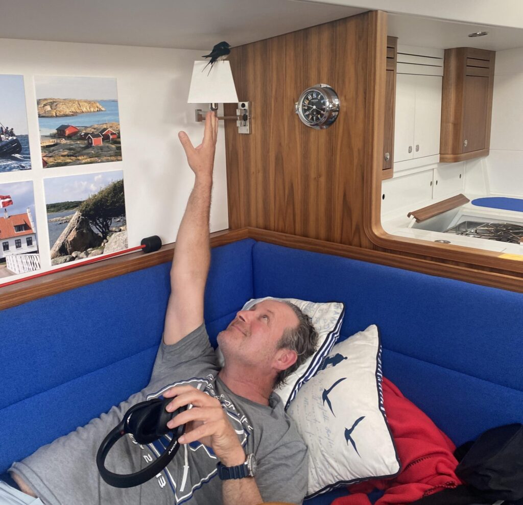 Ein Mann liegt auf einem Sofa unter Deck einer Segelyacht. Er versucht, eine Schwalbe zu fangen, die in den Salon geflogen ist.