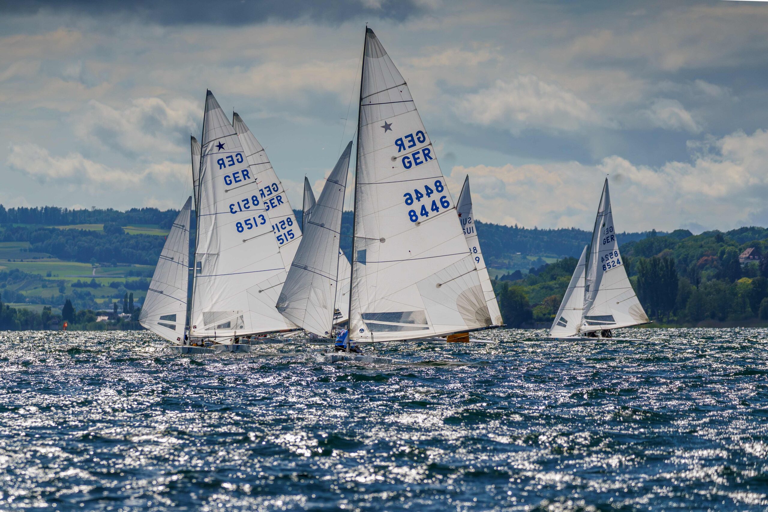 Zwei Starboote mit weißen Segeln auf dem Bodensee.