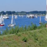 Viele verschiedene Segelboote auf dem Rhein im Rahmen der Rheinwoche 2026