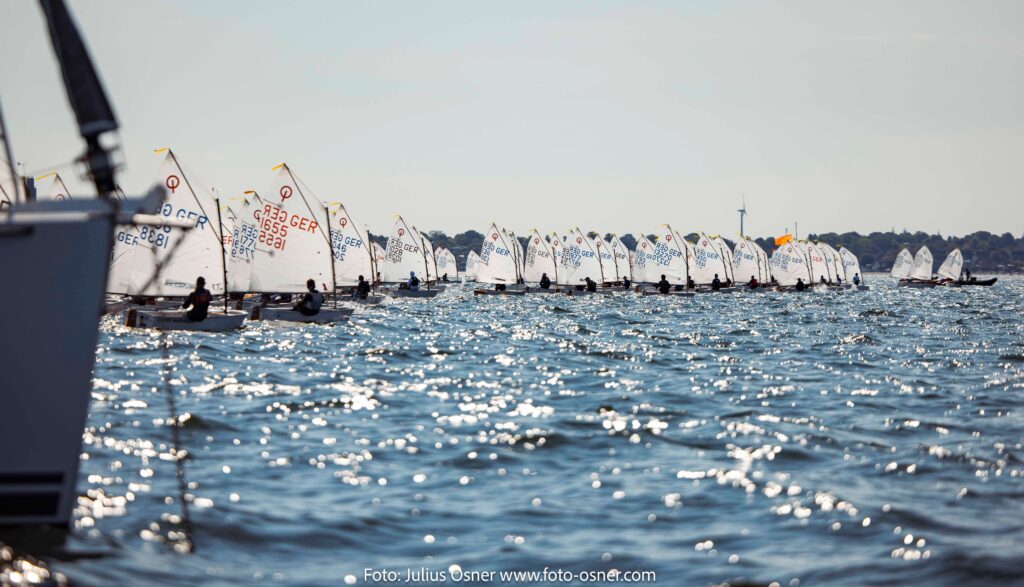 Viele Optis segeln auf der Kieler Förde eine Regatta