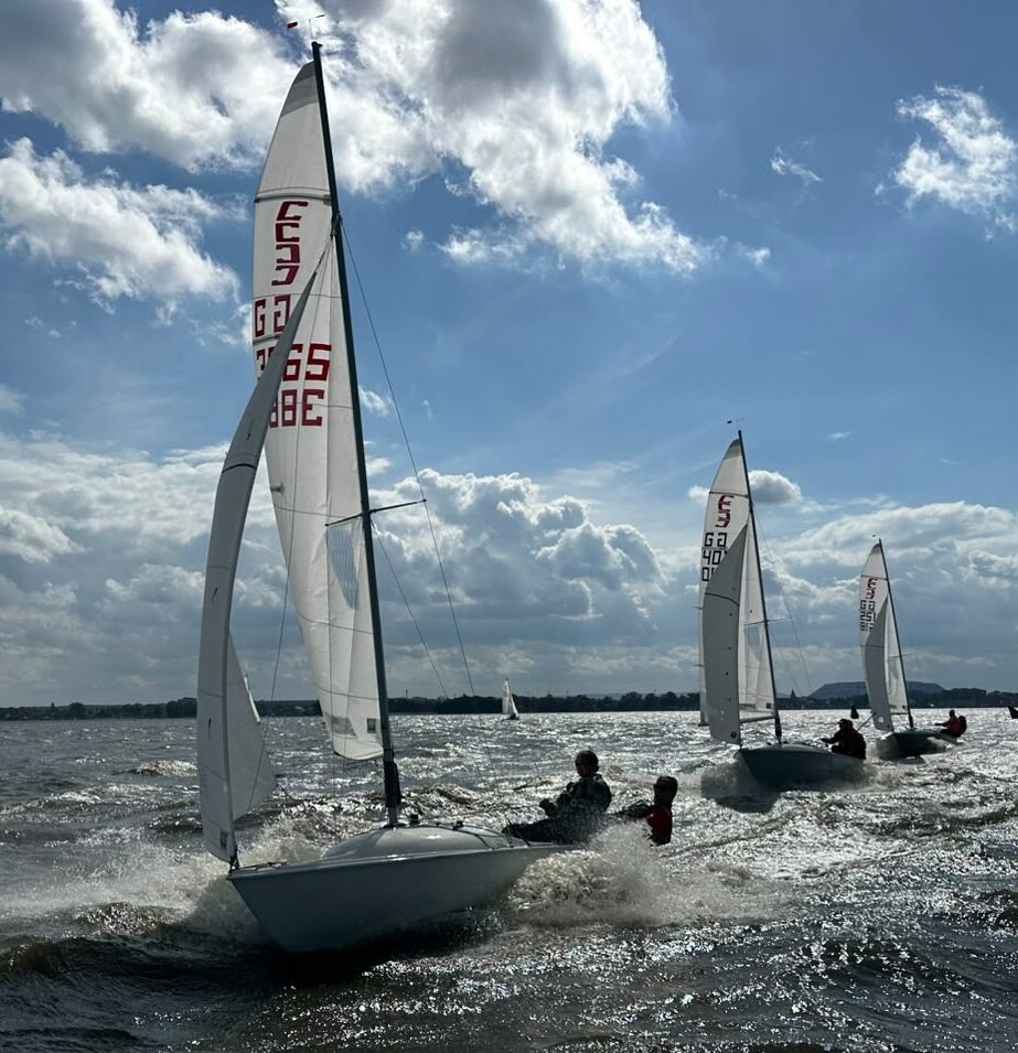 Mehrere Conger-Jollen die auf dem Steinhuder Meer hintereinander segeln